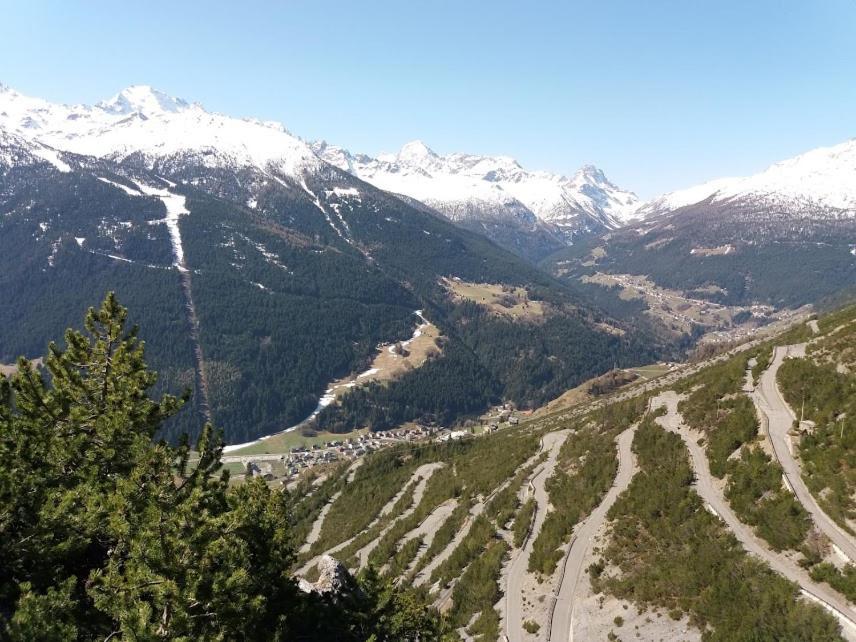 Appartamento Genziana Isolaccia Buitenkant foto