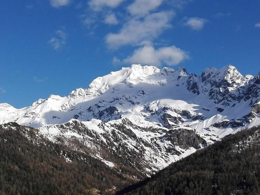 Appartamento Genziana Isolaccia Buitenkant foto